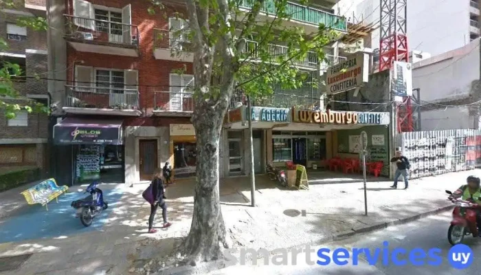 Boutique de frutas y verduras - 11400 Montevideo