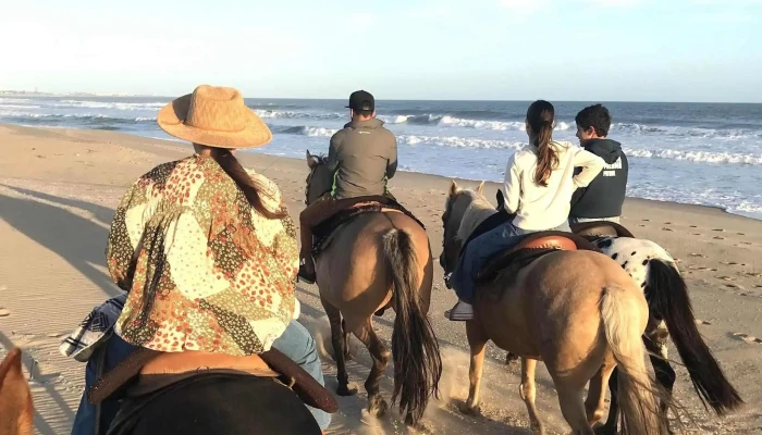Cabalgatas Don Altez -  Catalogo - La Paloma