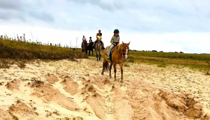 Cabalgatas Eco Equus -  Numero - Pueblo Nuevo