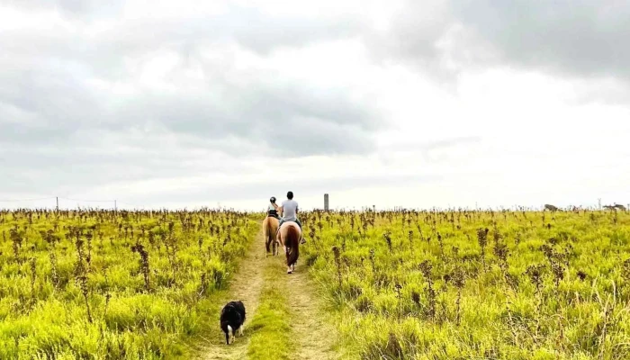 Cabalgatas Eco Equus -  Telefono - Pueblo Nuevo