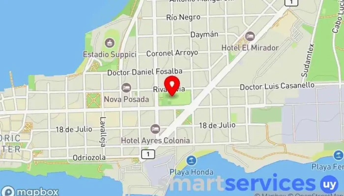 mapa de Cacciolaviajes Servicio de transporte en Col. del Sacramento