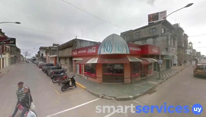 Cámara Inmobiliaria de Rocha - Rocha