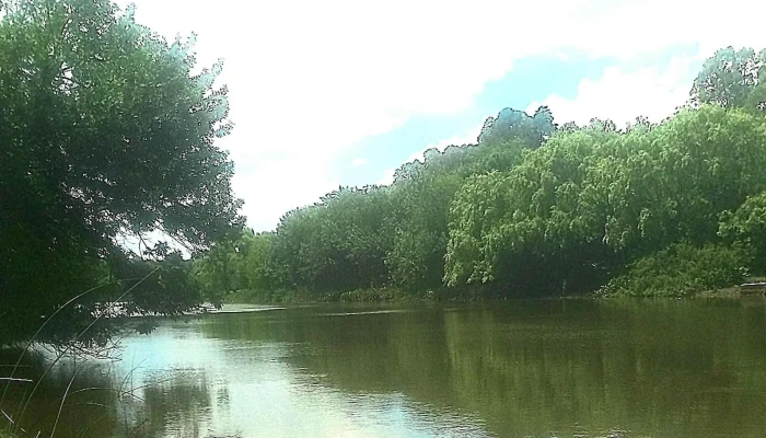 Camping Aguas Corrientes -  Comentarios - Aguas Corrientes