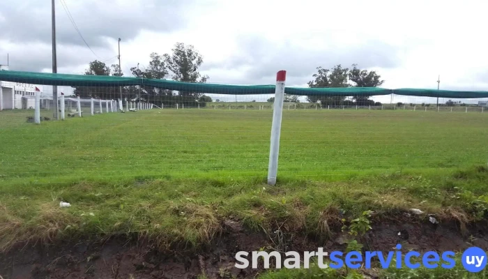 Cancha Soca - 15600 Soca
