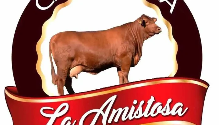 Carniceria La Amistosa - Treinta Y Tres