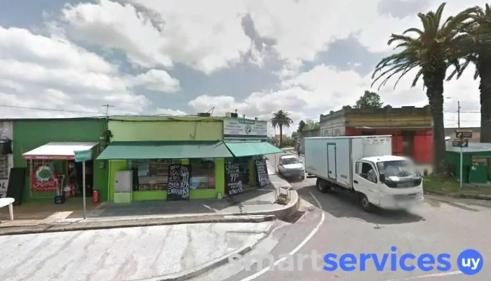 Carnicería Ruta - Av. Manuel D. Rodríguez