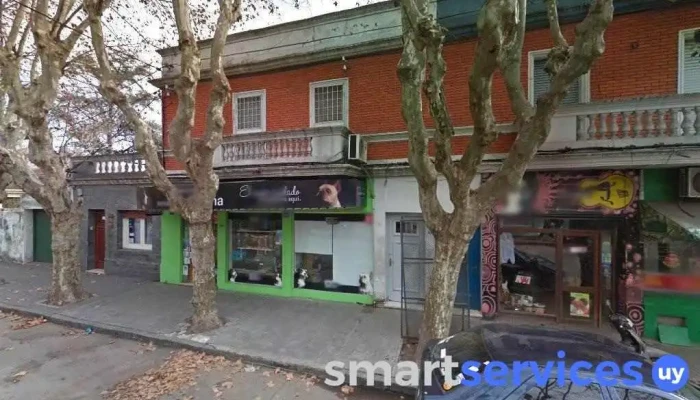 Carnicería Zagnoli - Durazno