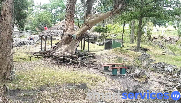 Cascada - 20200 Piriápolis