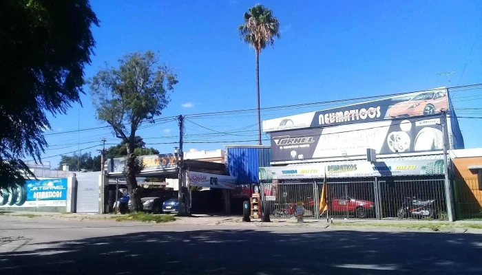 Cattaneo Neumaticos Tienda De Neumaticos - Montevideo