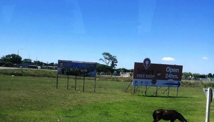 Cita -  Videos - Montevideo