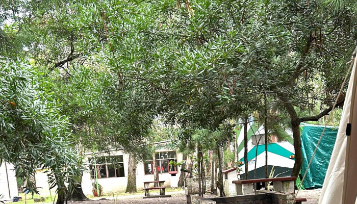 Complejo Turistico Chuy Cabanas Camping Chuy Telefono - Barra del Chuy