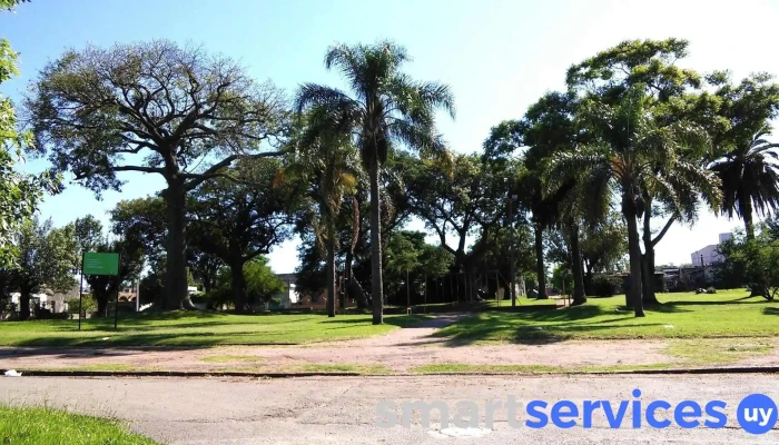 Conciliacion Herrero - Montevideo