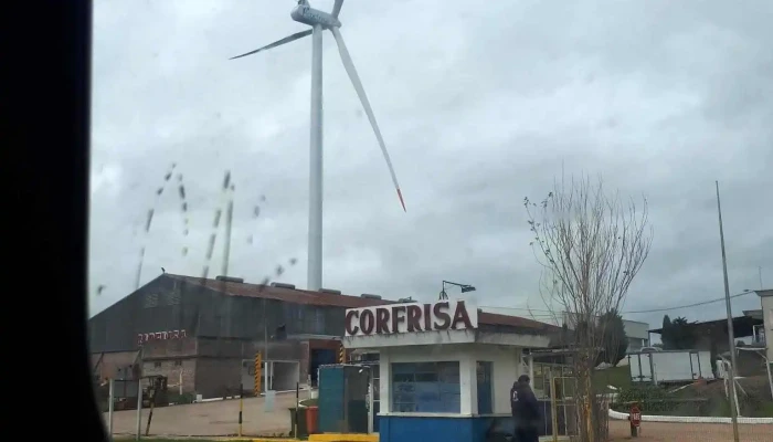 Corfrisa -  Interior - Las Piedras