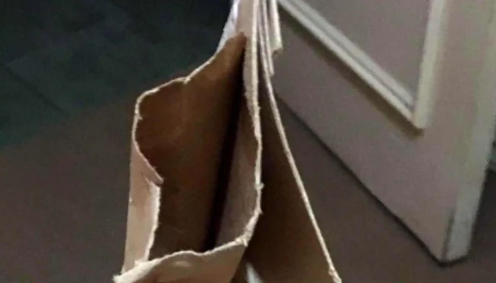 Correo Uruguayo Sucursal Las Piedras Sitio Web - Las Piedras