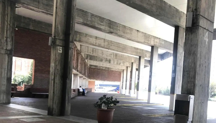 Cot -  Horario - Punta del Este