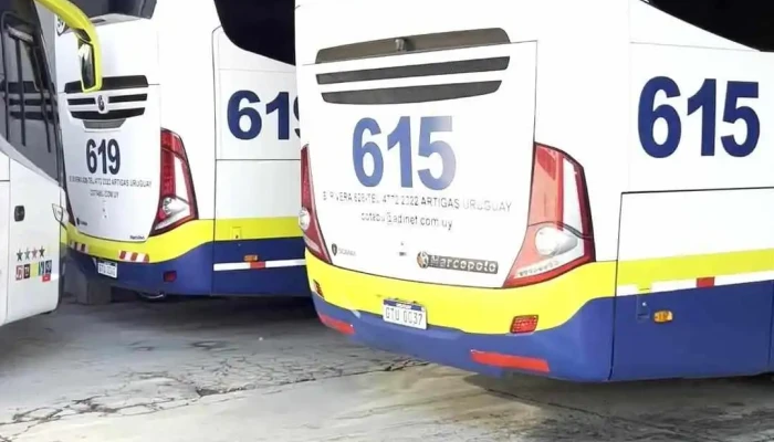 Cotabu Srl Videos - Artigas