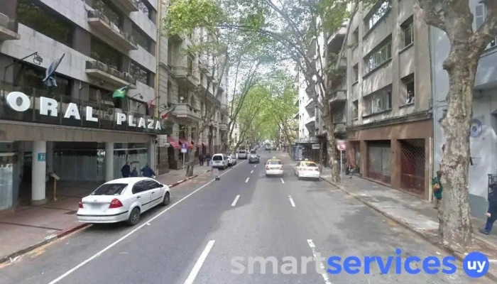 D.Dptal.V.DYG - Montevideo