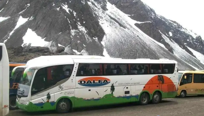 Dalfa Turismo Omnibus Es De Alquiler -    Agencia De Viajes Autorizada Promocion - Montevideo