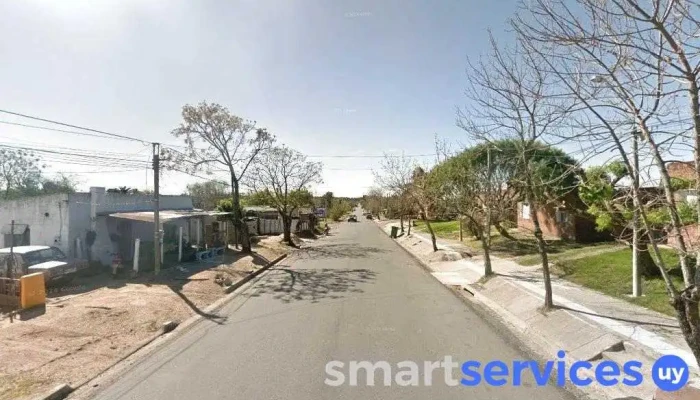 Despensa MaxiAle - 85000 Trinidad