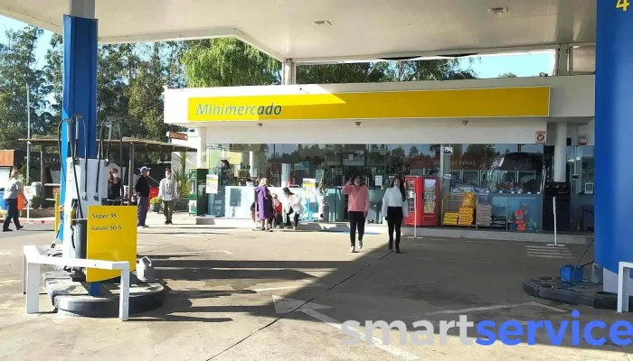 Disa -  Surtidor De Combustible - La Floresta
