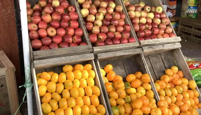 El bigote - Almacén, frutas y verduras - 12900 Montevideo