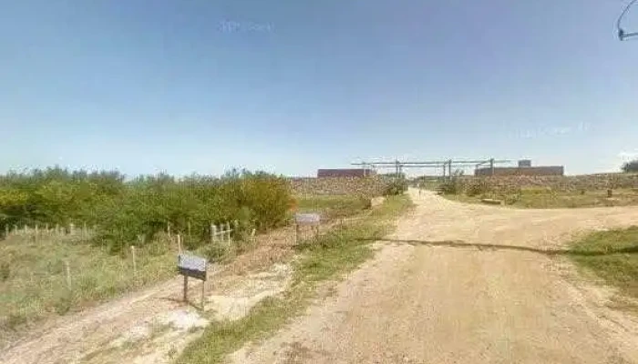 El Molino -  Telefono - La Paloma