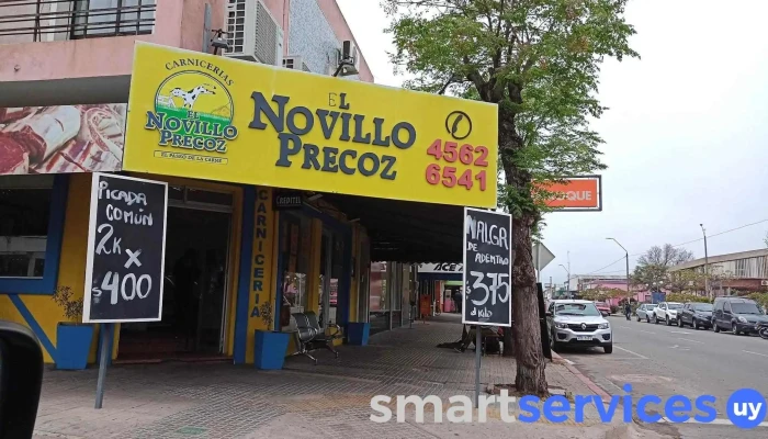 El Novillo Precoz 1 - Jose Pedro Varela