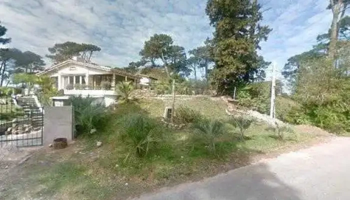 El Recreo -  Telefonodeg - Punta del Este