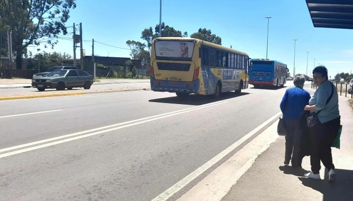 Empresa Casanova Sa Abierto Ahora - Sauce