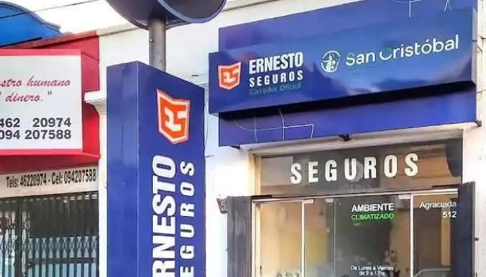 Ernesto Seguros San Cristobal - Rivera
