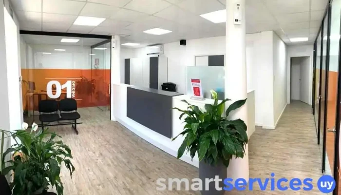 Estudio Galu -  Interior - Las Piedras