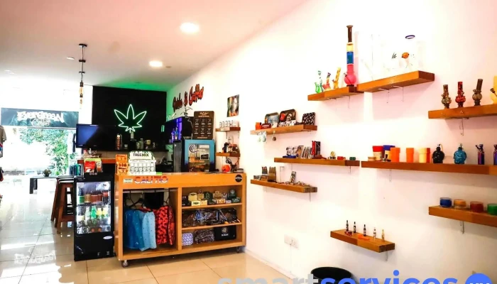 Evergreen Culture coffee Shop Growshop - 70000 Col. Del Sacramento