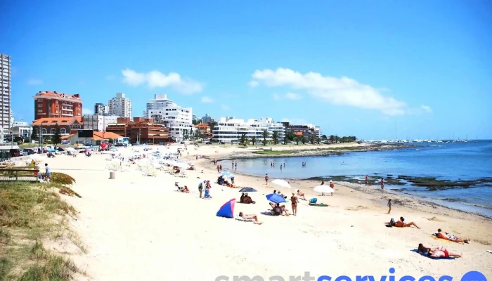 Farmacia Font Punta Del Este -  Farmacia - Punta del Este