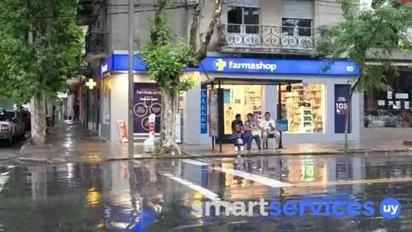 Farmashop 85 - Col. Del Sacramento