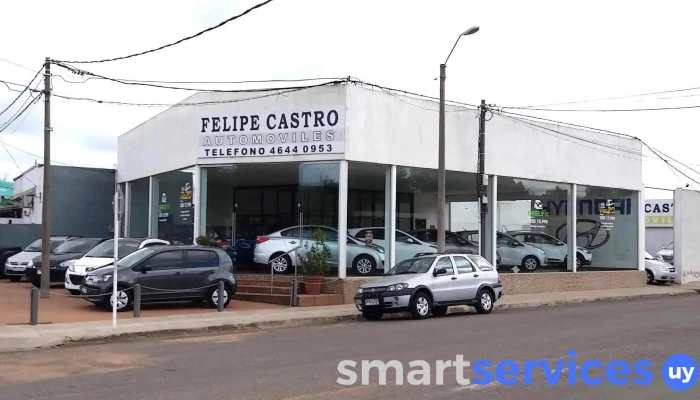 Felipe Castro Automóviles - 37000 Melo