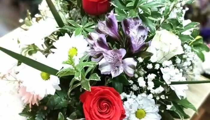 Florería Curbelo - 94100 Sarandí Grande