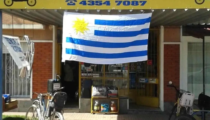 Fontes Repuestos - 94100 Sarandí Grande