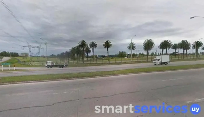 Futura terminal en Villa Don Bosco - Mgap - Departamento De Montevideo