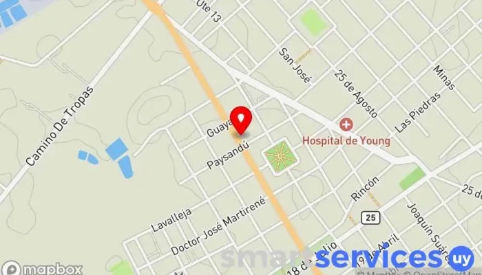 mapa de Geosylva S.A. Oficinas de empresa en Young
