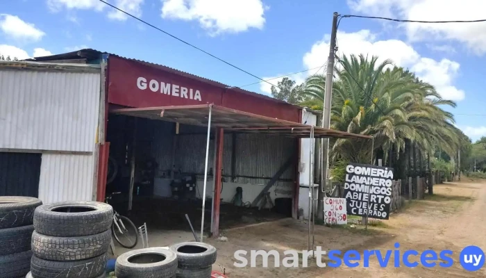 Gomeria Lavadero El Negro -  Exterior - parque del plata