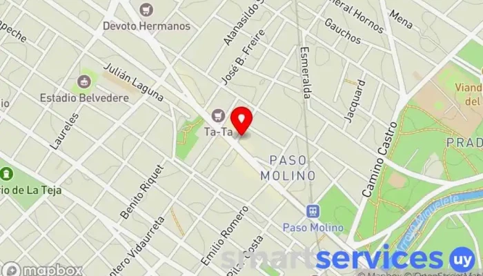 mapa de GRUPO AGENCIA - DAC PASO MOLINO Servicio de logística en Montevideo
