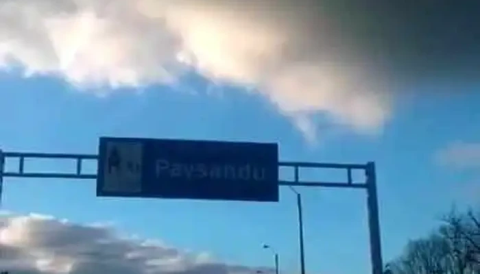 H Petersen Cat Videos - Paysandú