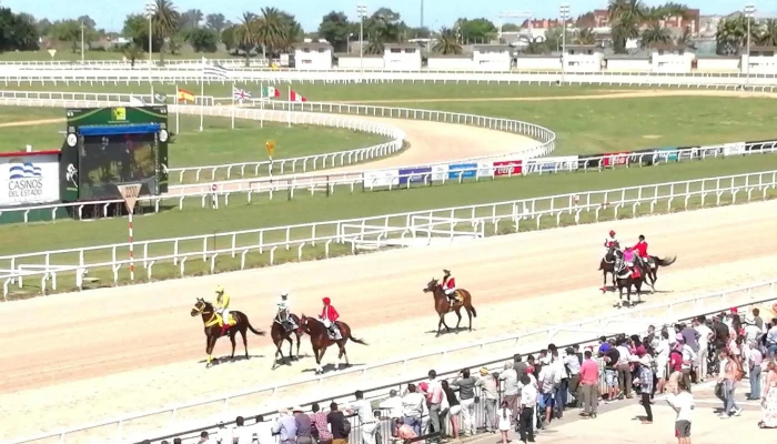 Hipodromo Nacional De Maronas Caballo - Montevideo