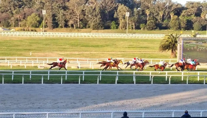 Hipodromo Nacional De Maronas Circuito De Carreras - Montevideo