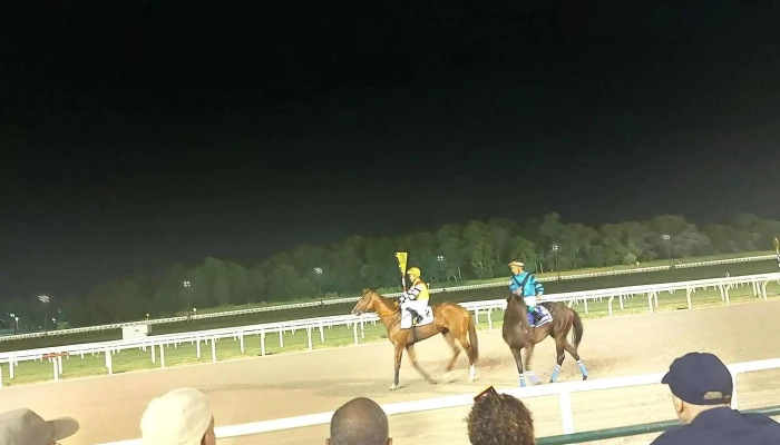 Hipodromo Nacional De Maronas Como Llegar - Montevideo