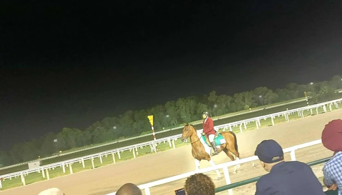 Hipodromo Nacional De Maronas Ubicacion - Montevideo
