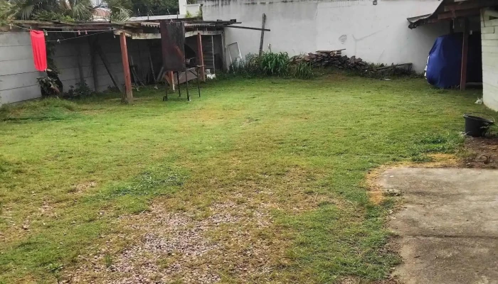 Hostal 3 Lunas Chuy -  Comentarios - Chuy