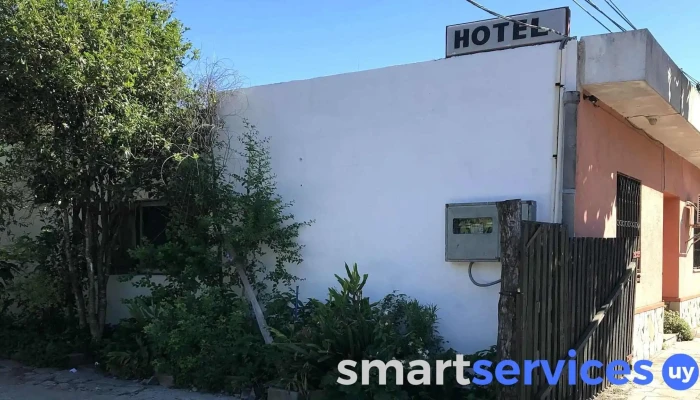 Hotel Martinez -  Exterior - Young