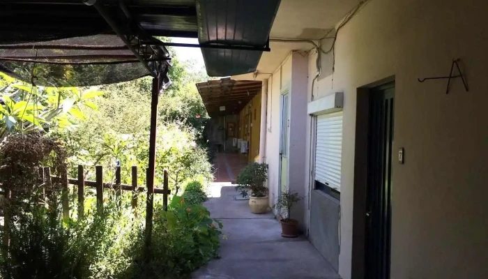 Hotel Martinez - Young