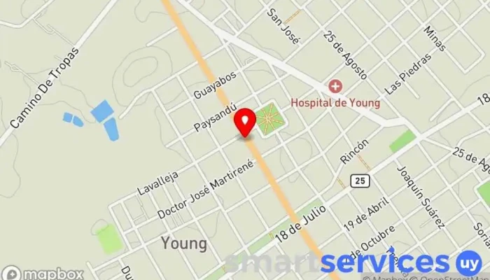 mapa de Hotel Young Hotel en Young